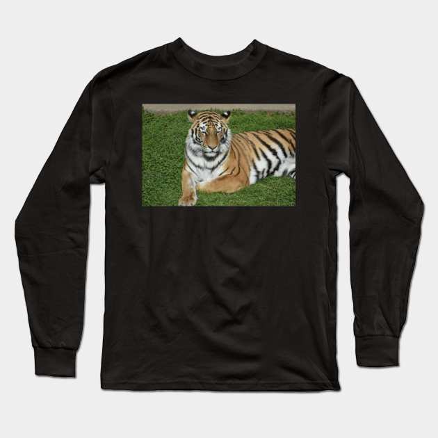 Tiger Long Sleeve T-Shirt by MarieDarcy